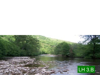 LH 3.B   