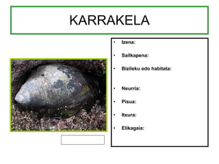 KARRAKELA Izena: Sailkapena: Bizileku edo habitata: Neurria: Pisua: Itxura: Elikagaia: 