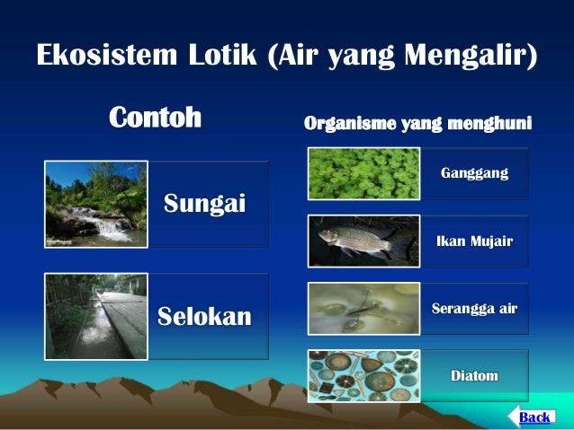 Ekosistem air tawar.ppt