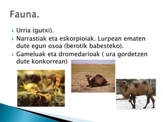    Urria (gutxi).
   Narrastiak eta eskorpioiak. Lurpean ematen
    dute egun osoa (berotik babesteko).
   Gameluak eta dromedarioak ( ura gordetzen
    dute konkorrean)
 