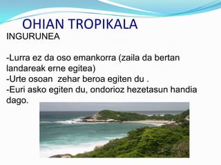 OHIAN TROPIKALA
INGURUNEA

-Lurra ez da oso emankorra (zaila da bertan
landareak erne egitea)
-Urte osoan zehar beroa egiten du .
-Euri asko egiten du, ondorioz hezetasun handia
dago.
 