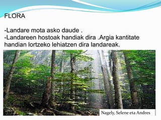 FLORA

-Landare mota asko daude .
-Landareen hostoak handiak dira .Argia kantitate
handian lortzeko lehiatzen dira landareak.




                                  Nagely, Selene eta Andres
 
