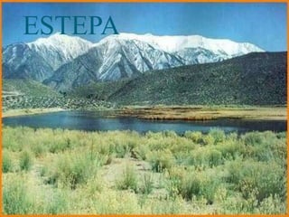 ESTEPA
 