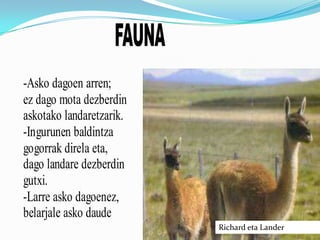 FAUNA
-Asko dagoen arren;
ez dago mota dezberdin
askotako landaretzarik.
-Ingurunen baldintza
gogorrak direla eta,
dago landare dezberdin
gutxi.
-Larre asko dagoenez,
belarjale asko daude
adb:zaldiak eta bisonteak.   Richard eta Lander
 