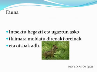 Fauna



 Intsektu,hegazti eta ugaztun asko
 (klimara moldatu direnak):oreinak
 eta otsoak adb.



                             IKER ETA AITOR (5.D1)
 