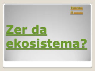 Zer da
ekosistema?
 