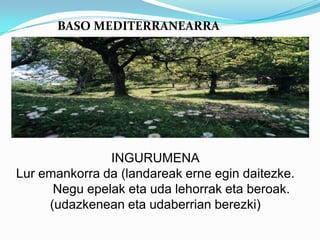 BASO MEDITERRANEARRA




               INGURUMENA
Lur emankorra da (landareak erne egin daitezke.
      Negu epelak eta uda lehorrak eta beroak.
     (udazkenean eta udaberrian berezki)
 