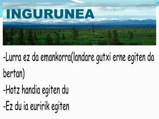 INGURUNEA


-Lurra ez da emankorra(landare gutxi erne egiten da
bertan)
-Hotz handia egiten du
-Ez du ia euririk egiten
 