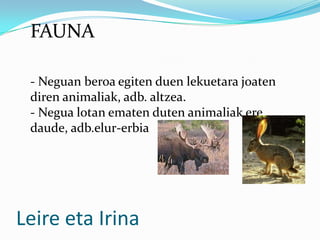 FAUNA

 - Neguan beroa egiten duen lekuetara joaten
 diren animaliak, adb. altzea.
 - Negua lotan ematen duten animaliak ere
 daude, adb.elur-erbia




Leire eta Irina
 