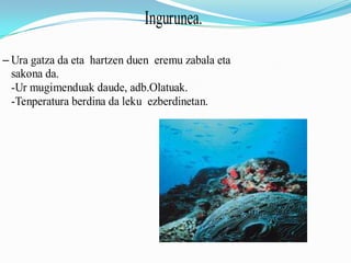 Ingurunea.

– Ura gatza da eta hartzen duen eremu zabala eta
  sakona da.
  -Ur mugimenduak daude, adb.Olatuak.
  -Tenperatura berdina da leku ezberdinetan.
 