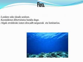 Flora.
-Landare asko daude azalean.
-Kostaldetan dibertsitatea handia dago.
-Algak erraldoiak izaten dira;adb:sargazoak eta laminarioa.
 