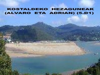 KOSTALDEKO HEZAGUNEAK
(ALVARO ETA ADRIAN) (5.D1)
 