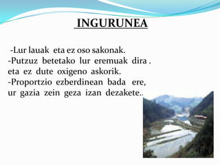INGURUNEA

 -Lur lauak eta ez oso sakonak.
-Putzuz betetako lur eremuak dira .
eta ez dute oxigeno askorik.
-Proportzio ezberdinean bada ere,
ur gazia zein geza izan dezakete...
 