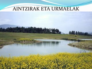AINTZIRAK ETA URMAELAK
 
