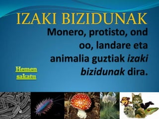 IZAKI BIZIDUNAK
 