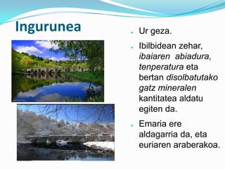 Ingurunea   ●   Ur geza.
            ●   Ibilbidean zehar,
                ibaiaren abiadura,
                tenperatura eta
                bertan disolbatutako
                gatz mineralen
                kantitatea aldatu
                egiten da.
            ●   Emaria ere
                aldagarria da, eta
                euriaren araberakoa.
 