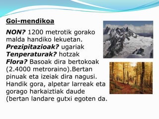 Goi-mendikoa
NON? 1200 metrotik gorako
malda handiko lekuetan.
Prezipitazioak? ugariak
Tenperaturak? hotzak
Flora? Basoak dira bertokoak
(2.4000 metroraino).Bertan
pinuak eta izeiak dira nagusi.
Handik gora, alpetar larreak eta
gorago harkaiztiak daude
(bertan landare gutxi egoten da.
 