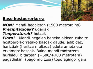 Baso hostoerorkorra
NON? Mendi-hegaletan (1500 metroraino)
Prezipitazioak? ugariak
Tenperaturak? hotzak
Flora?. Mendi-hegalen beheko aldean zuhaitz
hostoerorkorretako basoak daude, adibidez,
hariztiak (haritza multzoa) edota ametz eta
erkametz basoak. Baina mendi tontorrera
hurbildu bitartean (+600/+700 metrotara)
pagadiekin (pago multzoa) topo egingo gara.
 