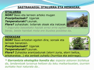 SASTRAKADIA: OTALURRA ETA HESKAIAK.
OTALURRA
NON? Baso eta larreen arteko mugan
Prezipitazioak? Ugariak
Tenperaturak? Leunak.
Flora? zuhaizkak: txilarrak oteak eta iratzeak.
* Inguruko basoetako haziak errez erne egiten dira otalurretan
beraz, beste hainbat mota ere ikustea posiblea da.

HESKAIAK
NON? Baso-ertzetan egoten dira; soroak eta
larreak banatzen.
Prezipitazioak? Ugariak
Tenperaturak? Leunak.
Flora? Zuhaizka arantzadunak (elorri zuria, elorri beltza,
arkakaratsa…) eta zenbait zuhaitz (hurritza eta astirraga).
* Garrantzia ekologiko handia du: espezie askoren bizilekua
da, landaretzak lurzorua heltzen du leku malkartsuetan, izurrien
aurkako hezi naturala da…
 
