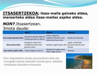 ITSASERTZEKOA; itsas-maila gaineko aldea,
marearteko aldea itsas-mailaz azpiko aldea.

NON?.Itsasertzean.
3mota daude:
                           Non?                         Flora?                      Fauna?
                                                        Uraren eraginera
                            Itsasoak buztitako aldea da
Itsas mailaz gaineko aldea.                             moldatzen direnak: Itsas     Kaioak eta ubarroiak
                            (urpean geratzen ez dena).
                                                        mihilua eta itsas zerba.
                            Itsasgoran urpean eta                                    Lapak, muskuiluak,
     Marearteko aldea       itsasbeheran lehorrean      Haitzetan algak hazten dira. karramarroak eta itsas
                            geratzen dena.                                           trikuak.
                                                        Eguzkiaren eragina duen
 Itsas mailaz azpiko aldea. Urpean dagoen zatia da.                                  Arrainak.
                                                        mailan algak daude.


•Oso degradatuta daude giza-jarduera dela eta,
 horregatik batzuk babesten hasiak gara, adibidez
 Urdaibaiko bioesfera-erreserba.
 