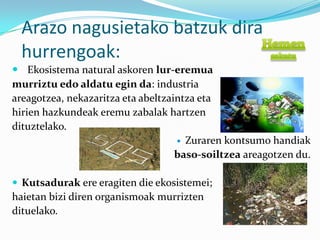 Arazo nagusietako batzuk dira
  hurrengoak:
 Ekosistema natural askoren lur-eremua
murriztu edo aldatu egin da: industria
areagotzea, nekazaritza eta abeltzaintza eta
hirien hazkundeak eremu zabalak hartzen
dituztelako.
                                     Zuraren kontsumo handiak
                                    baso-soiltzea areagotzen du.

 Kutsadurak ere eragiten die ekosistemei;
haietan bizi diren organismoak murrizten
dituelako.
 