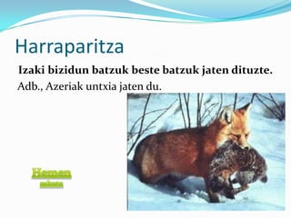 Harraparitza
Izaki bizidun batzuk beste batzuk jaten dituzte.
Adb., Azeriak untxia jaten du.
 