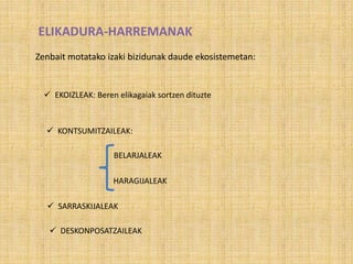 ELIKADURA-HARREMANAK
Zenbait motatako izaki bizidunak daude ekosistemetan:
 EKOIZLEAK: Beren elikagaiak sortzen dituzte
 KONTSUMITZAILEAK:
BELARJALEAK
HARAGIJALEAK
 SARRASKIJALEAK
 DESKONPOSATZAILEAK
 