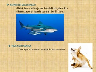  KOMENTSALISMOA:
- Batek beste baten janari hondakinak jaten ditu
- Batentzat onuragarria besteari berdin zaio.
 PARASITISMOA
- Onuragarria batentzat kaltegarria bestearentzat
 