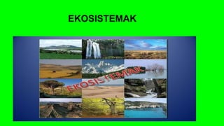 EKOSISTEMAK
 