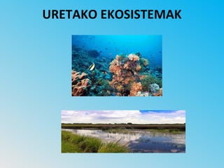 URETAKO EKOSISTEMAK
 