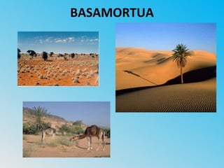 BASAMORTUA
 