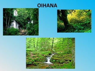 OIHANA
 