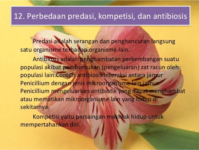 Ekosistem Biologi Makhluk Hidup