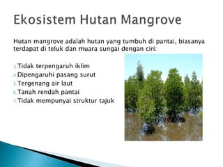 Hutan mangrove adalah hutan yang tumbuh di pantai, biasanya
terdapat di teluk dan muara sungai dengan ciri:

3.Tidak terpengaruh iklim
4.Dipengaruhi pasang surut

5.Tergenang air laut

6.Tanah rendah pantai

7.Tidak mempunyai struktur tajuk
 