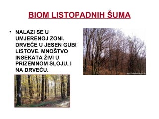 BIOM LISTOPADNIH ŠUMA
• NALAZI SE U
UMJERENOJ ZONI.
DRVEĆE U JESEN GUBI
LISTOVE. MNOŠTVO
INSEKATA ŽIVI U
PRIZEMNOM SLOJU, I
NA DRVEĆU.
 