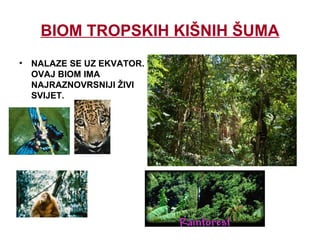 BIOM TROPSKIH KIŠNIH ŠUMA
• NALAZE SE UZ EKVATOR.
OVAJ BIOM IMA
NAJRAZNOVRSNIJI ŽIVI
SVIJET.
 