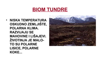 BIOM TUNDRE
• NISKA TEMPERATURA
OSKUDNO ZEMLJIŠTE,
POLARNA KLIMA.
RAZVIJAJU SE
MAHOVINE I LIŠAJEVI.
ŽIVOTINJA JE MALO-
TO SU POLARNE
LISICE, POLARNE
KOKE...
 