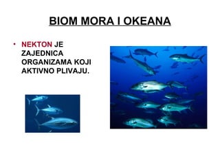 BIOM MORA I OKEANA
• NEKTON JE
ZAJEDNICA
ORGANIZAMA KOJI
AKTIVNO PLIVAJU.
 