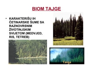 BIOM TAJGE
• KARAKTERIŠU IH
ČETINARSKE ŠUME SA
RAZNOVRSNIM
ŽIVOTINJSKIM
SVIJETOM (MEDVJED,
RIS, TETREB)
 