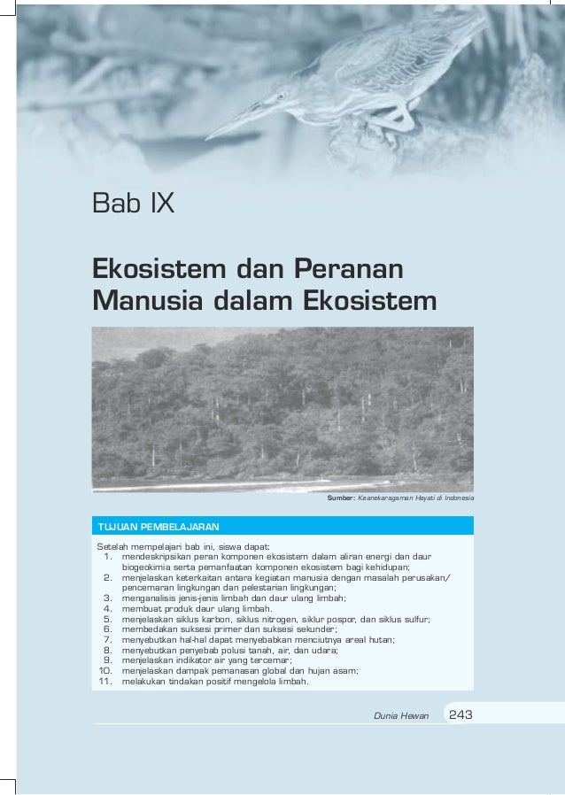 Aliran Energi Di Dalam Ekosistem Terjadi Dari Cara Golden