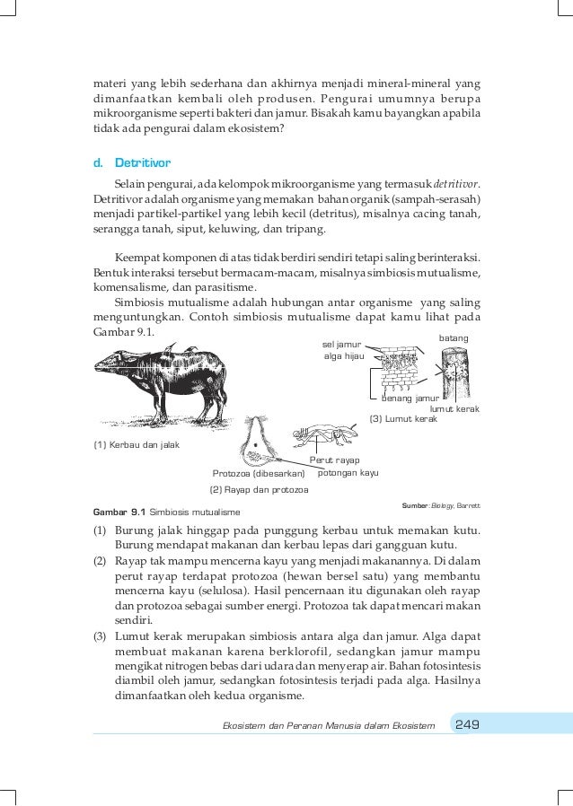Ekosistem Kelas1 Biologi