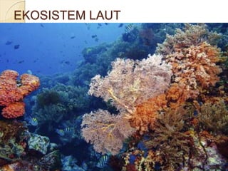 EKOSISTEM LAUT
 