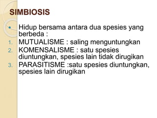 SIMBIOSIS
 Hidup bersama antara dua spesies yang
berbeda :
1. MUTUALISME : saling menguntungkan
2. KOMENSALISME : satu spesies
diuntungkan, spesies lain tidak dirugikan
3. PARASITISME :satu spesies diuntungkan,
spesies lain dirugikan
 