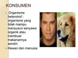 KONSUMEN
 Organisme
heterotrof :
organisme yang
tidak mampu
menyusun senyawa
organik atau
membuat
makanannya
sendiri.
 Hewan dan manusia
 