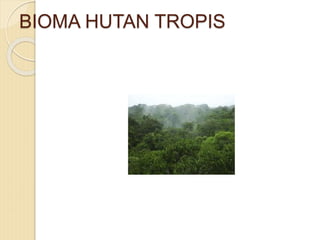 BIOMA HUTAN TROPIS
 