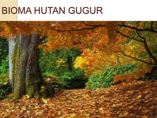 BIOMA HUTAN GUGUR
 
