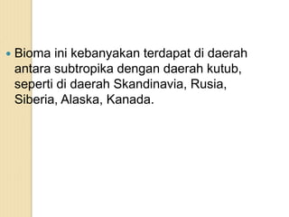  Bioma ini kebanyakan terdapat di daerah
antara subtropika dengan daerah kutub,
seperti di daerah Skandinavia, Rusia,
Siberia, Alaska, Kanada.
 