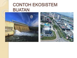 CONTOH EKOSISTEM
BUATAN
 