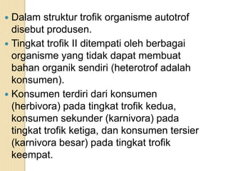  Dalam struktur trofik organisme autotrof
disebut produsen.
 Tingkat trofik II ditempati oleh berbagai
organisme yang tidak dapat membuat
bahan organik sendiri (heterotrof adalah
konsumen).
 Konsumen terdiri dari konsumen
(herbivora) pada tingkat trofik kedua,
konsumen sekunder (karnivora) pada
tingkat trofik ketiga, dan konsumen tersier
(karnivora besar) pada tingkat trofik
keempat.
 