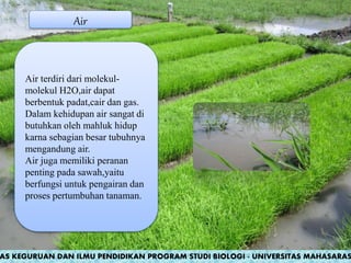 Air
Air terdiri dari molekul-
molekul H2O,air dapat
berbentuk padat,cair dan gas.
Dalam kehidupan air sangat di
butuhkan oleh mahluk hidup
karna sebagian besar tubuhnya
mengandung air.
Air juga memiliki peranan
penting pada sawah,yaitu
berfungsi untuk pengairan dan
proses pertumbuhan tanaman.
AS KEGURUAN DAN ILMU PENDIDIKAN PROGRAM STUDI BIOLOGI - UNIVERSITAS MAHASARAS
 